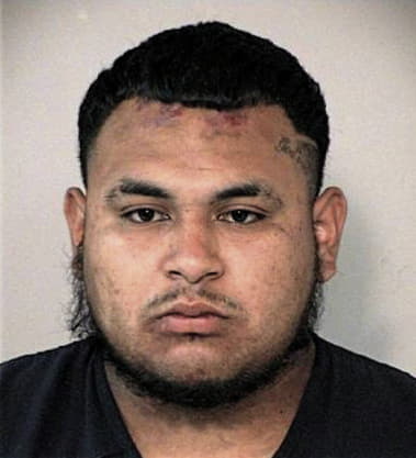 Francisco Garcia-Hernandez, - Fort Bend County, TX 